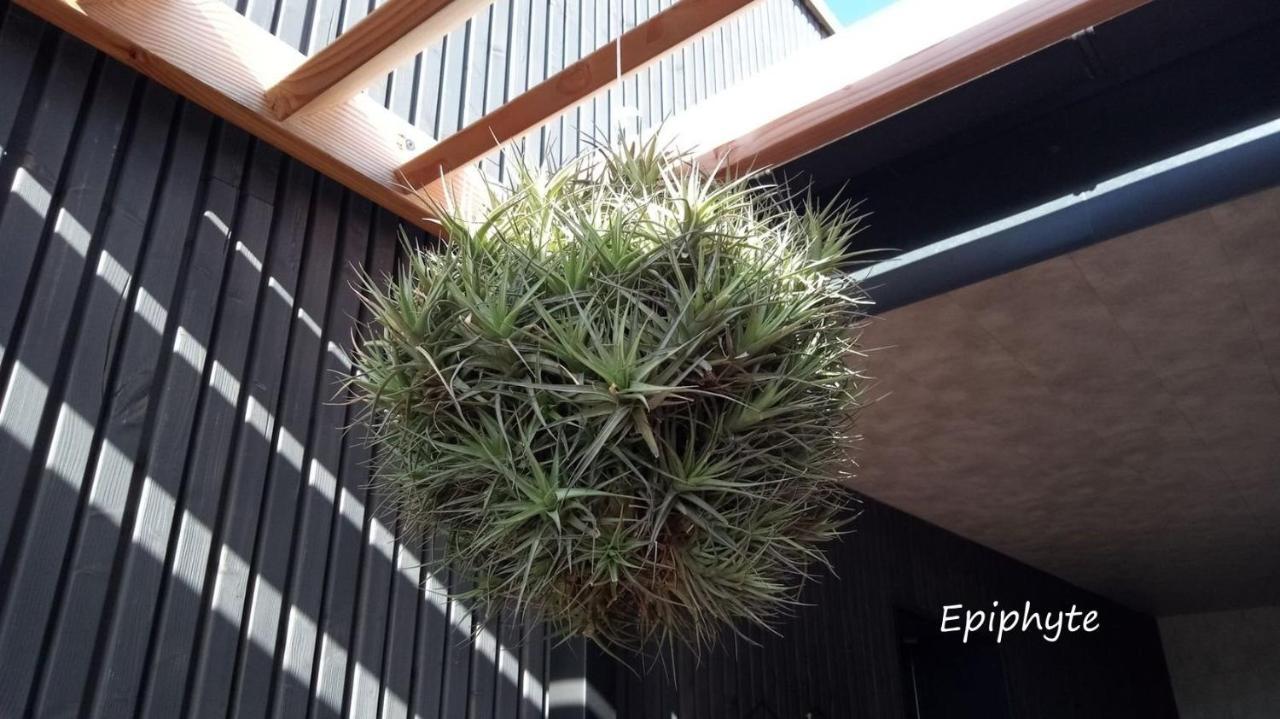 Apartmán Epiphytes Et Succulentes Paimpol Exteriér fotografie
